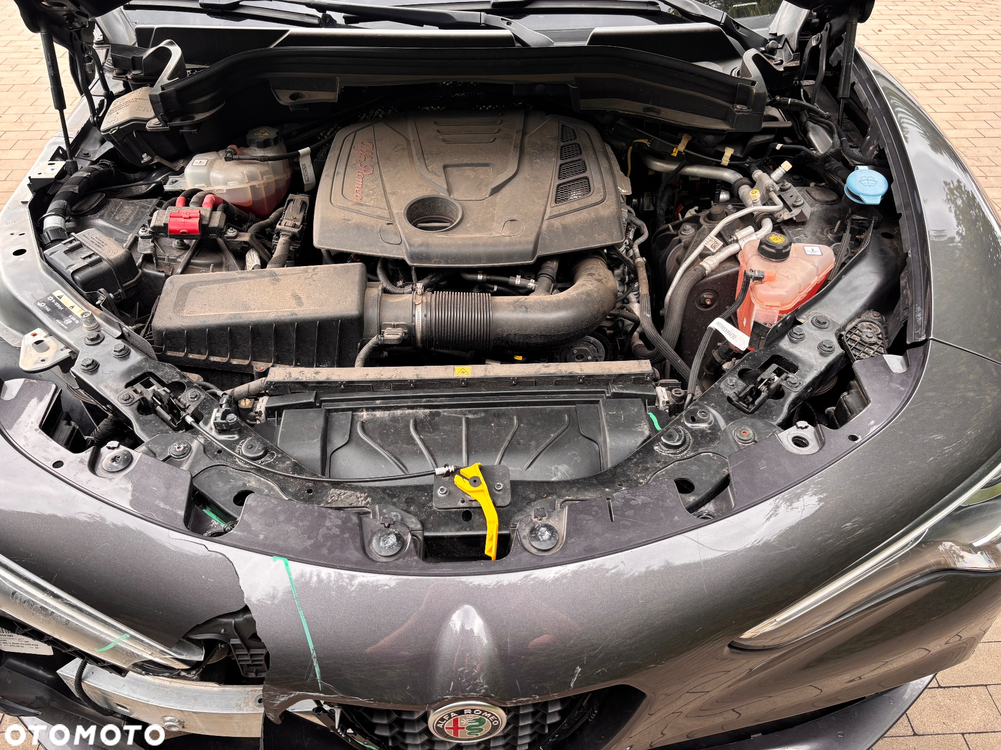 Alfa Romeo Stelvio 2.0 Turbo Veloce Q4 - 12
