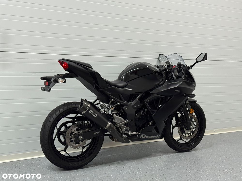Kawasaki Ninja - 4