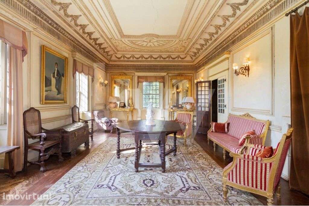 VILLA HISTÓRICA EM QUINTA ÁGUEDA A 1H DO AEROPORTO DO PORTO - Grande imagem: 3/60