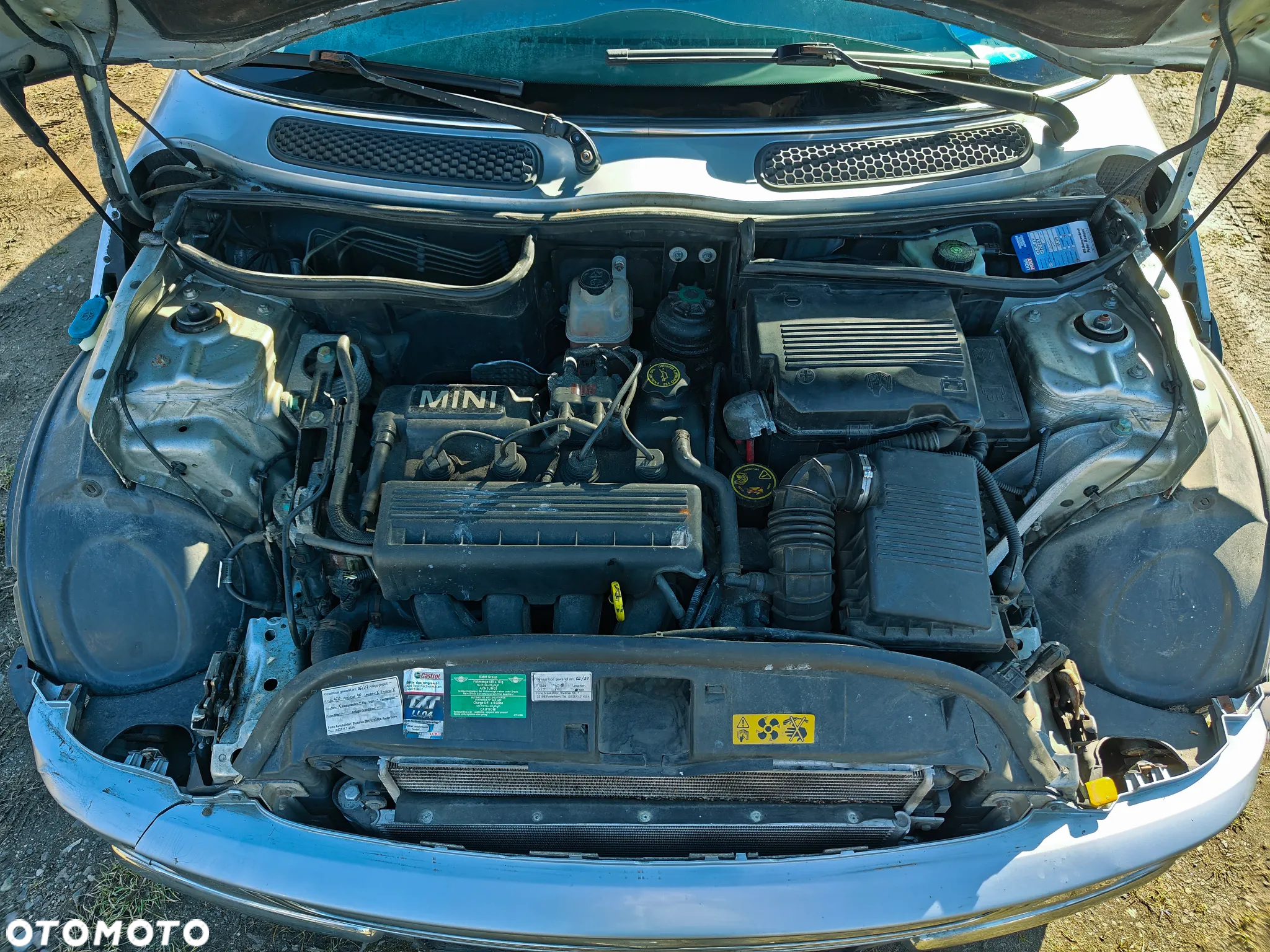 MINI Cooper pepper - 14
