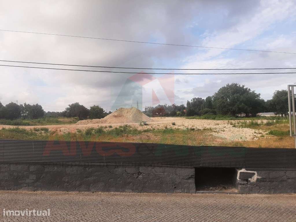 Terreno - Ao Maia Jardim (Nogueira) - Excelente Oportunidade / Loca... - Grande imagem: 4/8