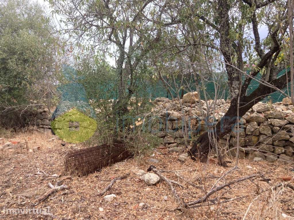 LOTE DE TERRENO COM RUÍNAS EM CERRO DO OURO - Grande imagem: 2/20