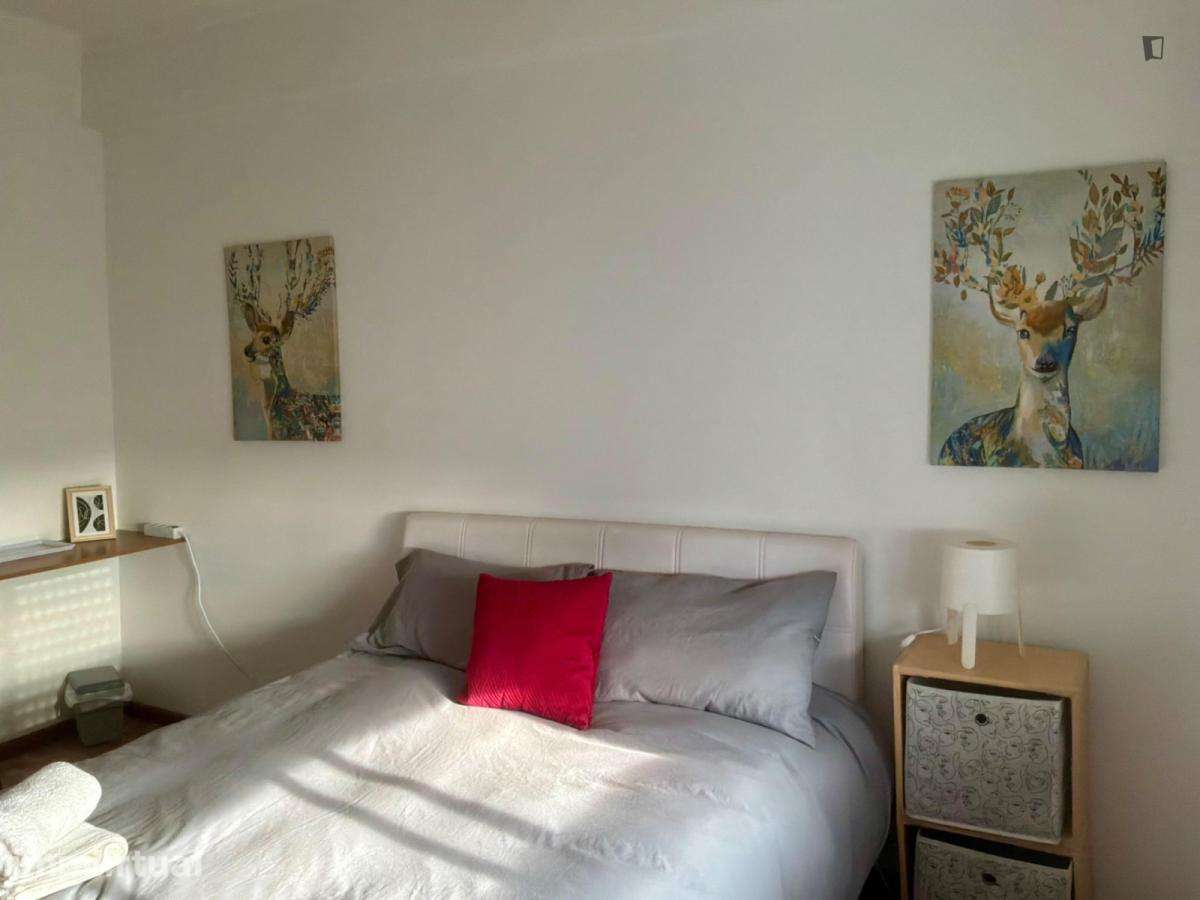 Quarto - localizado em Castelo branco - Grande imagem: 4/7