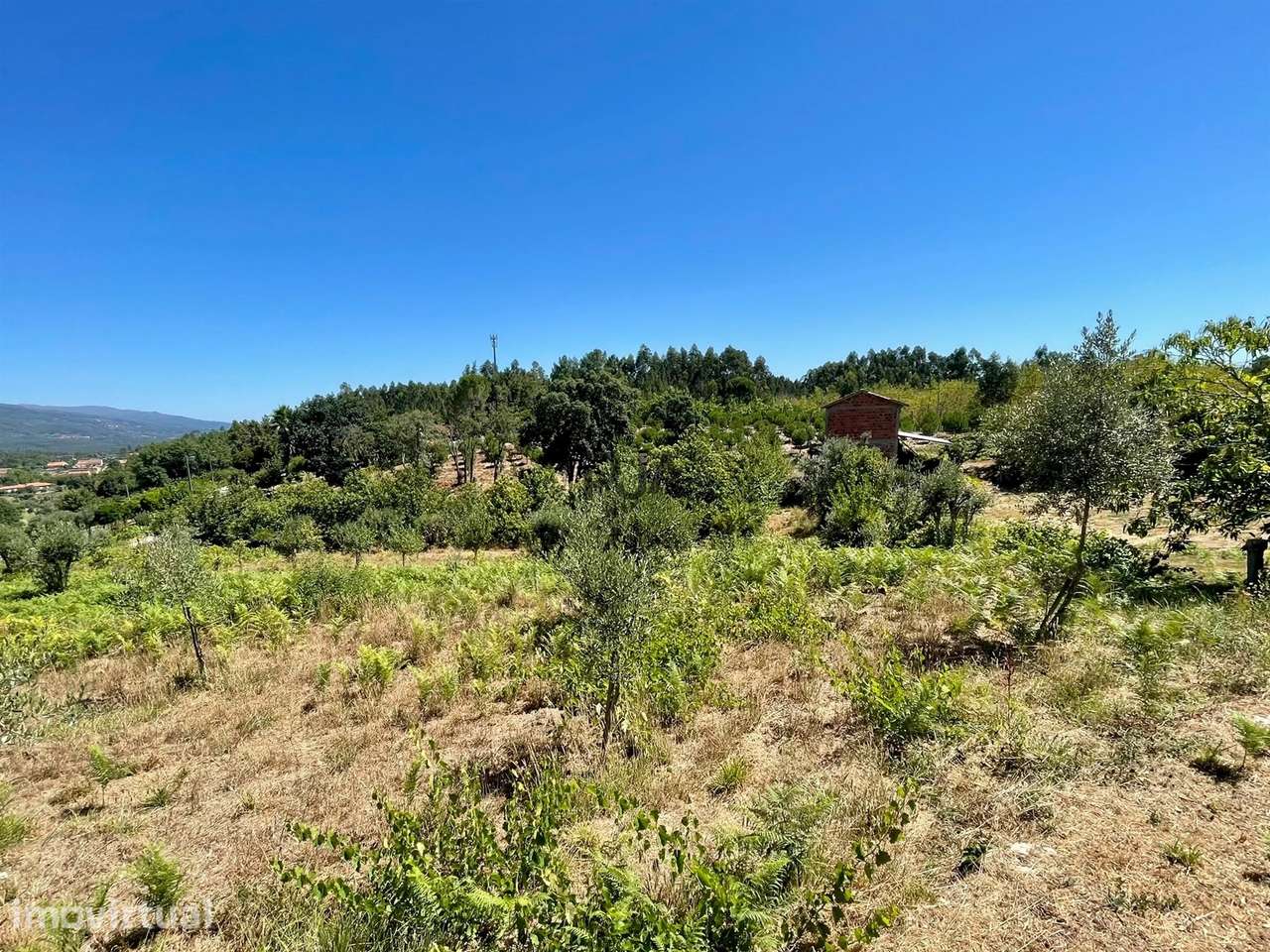 Terreno com 8500m2 em Tourigo, Tondela - Grande imagem: 4/18