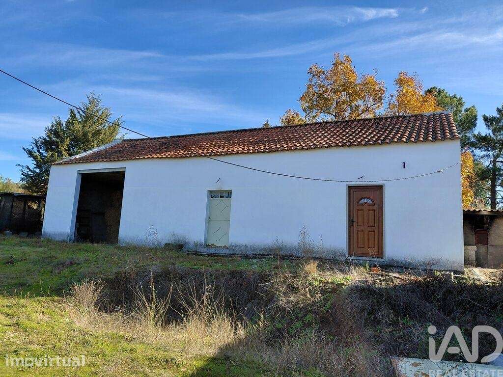 Quinta agricola em Caria de 44720 m2 - Grande imagem: 4/21