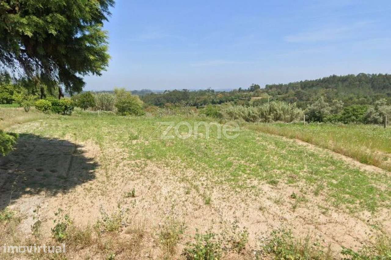 Terreno 2270m2 | Samuel | Soure - Grande imagem: 3/15