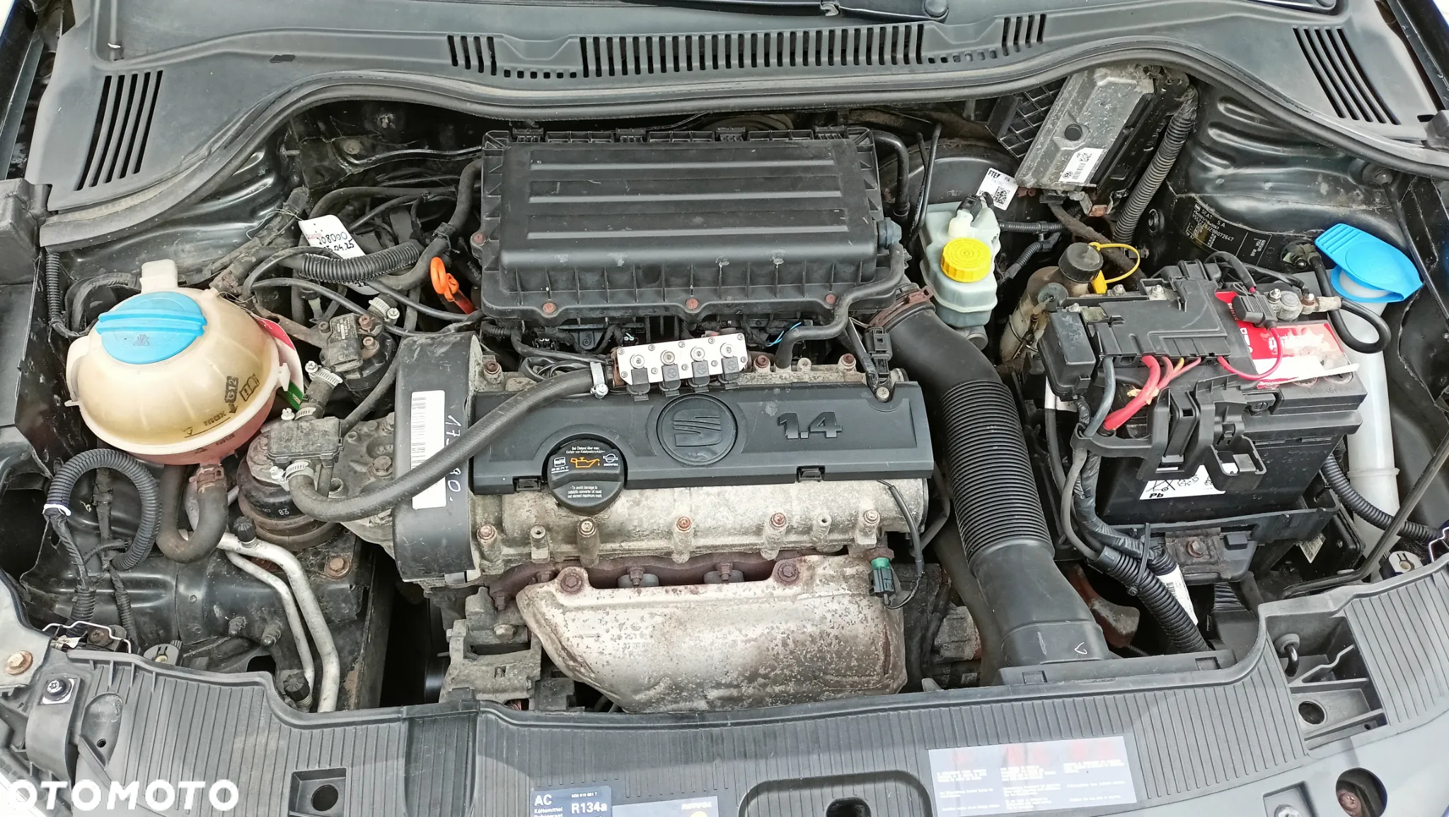 Seat Ibiza 1.4 16V Entry - 15