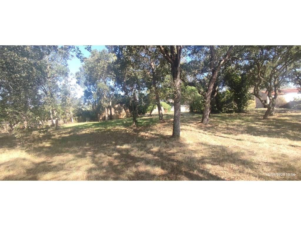 Terreno para construção, completamente plano e uma pequena construção - Grande imagem: 3/22