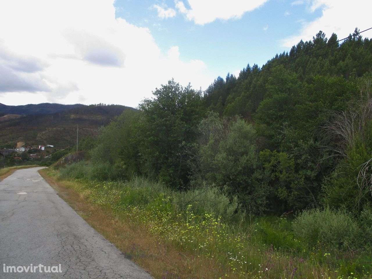 Terreno - Grande imagem: 5/7