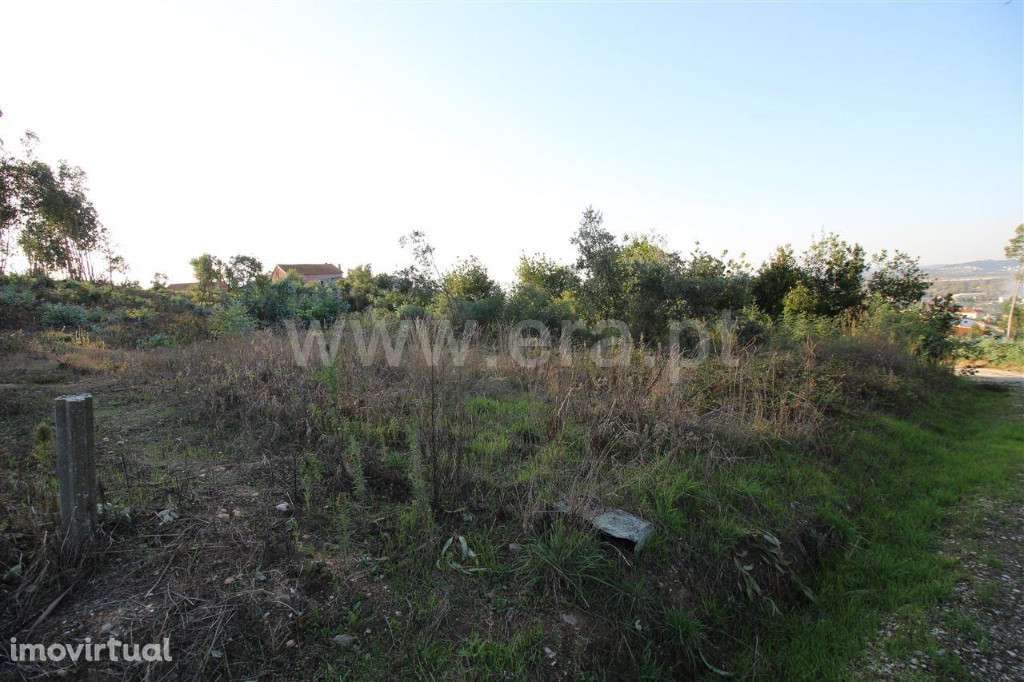 Venda Terreno de 1990m2,Venda Terreno , em Coimbra,São Martinho do Bis - Grande imagem: 3/3