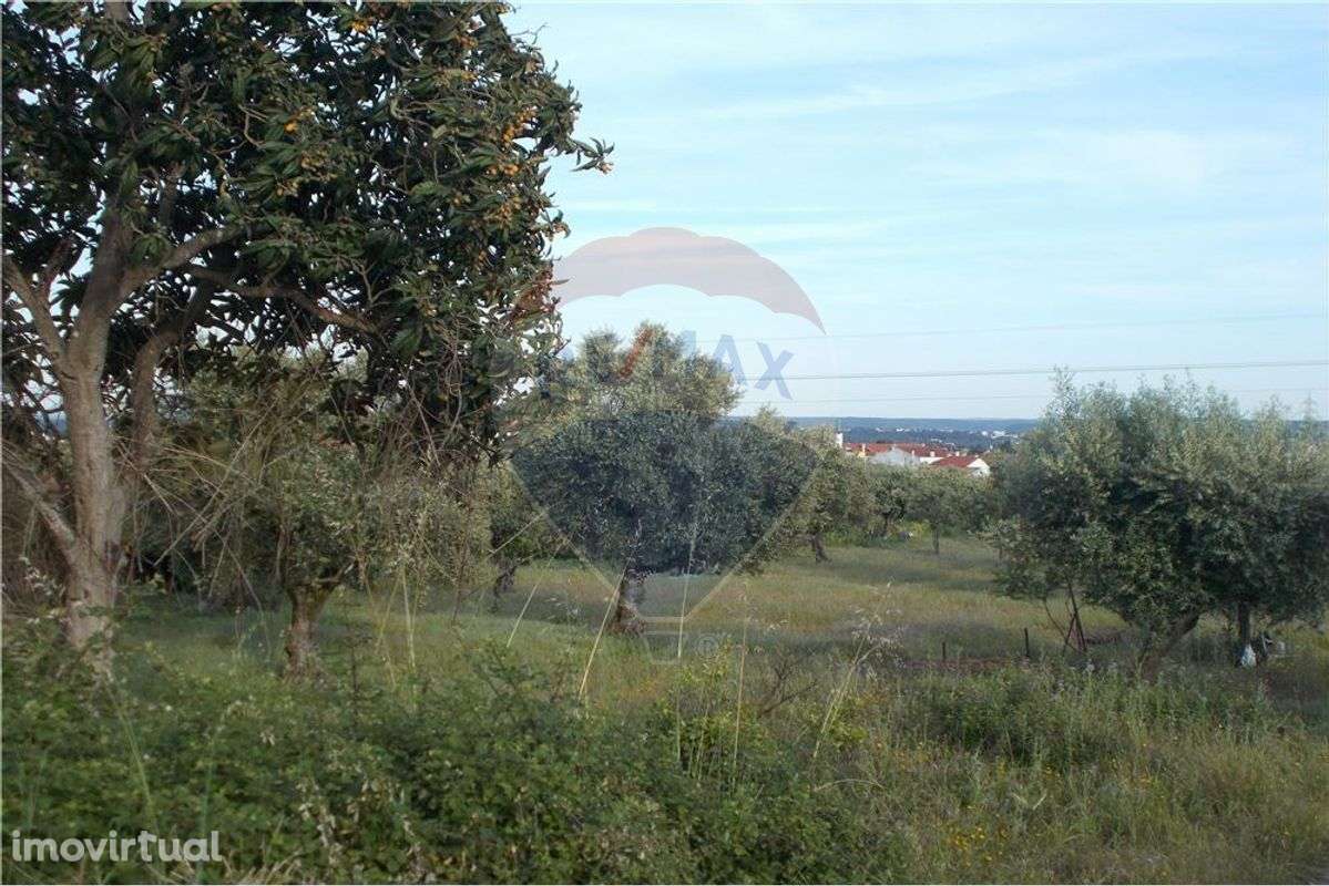 Terreno em Chainça - Grande imagem: 5/15