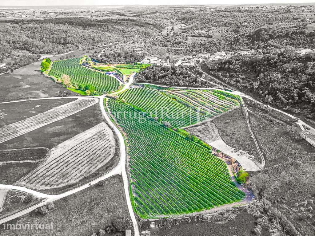 Quinta agrícola de 9,3ha com produção intensiva e totalmente equipada - Grande imagem: 2/11