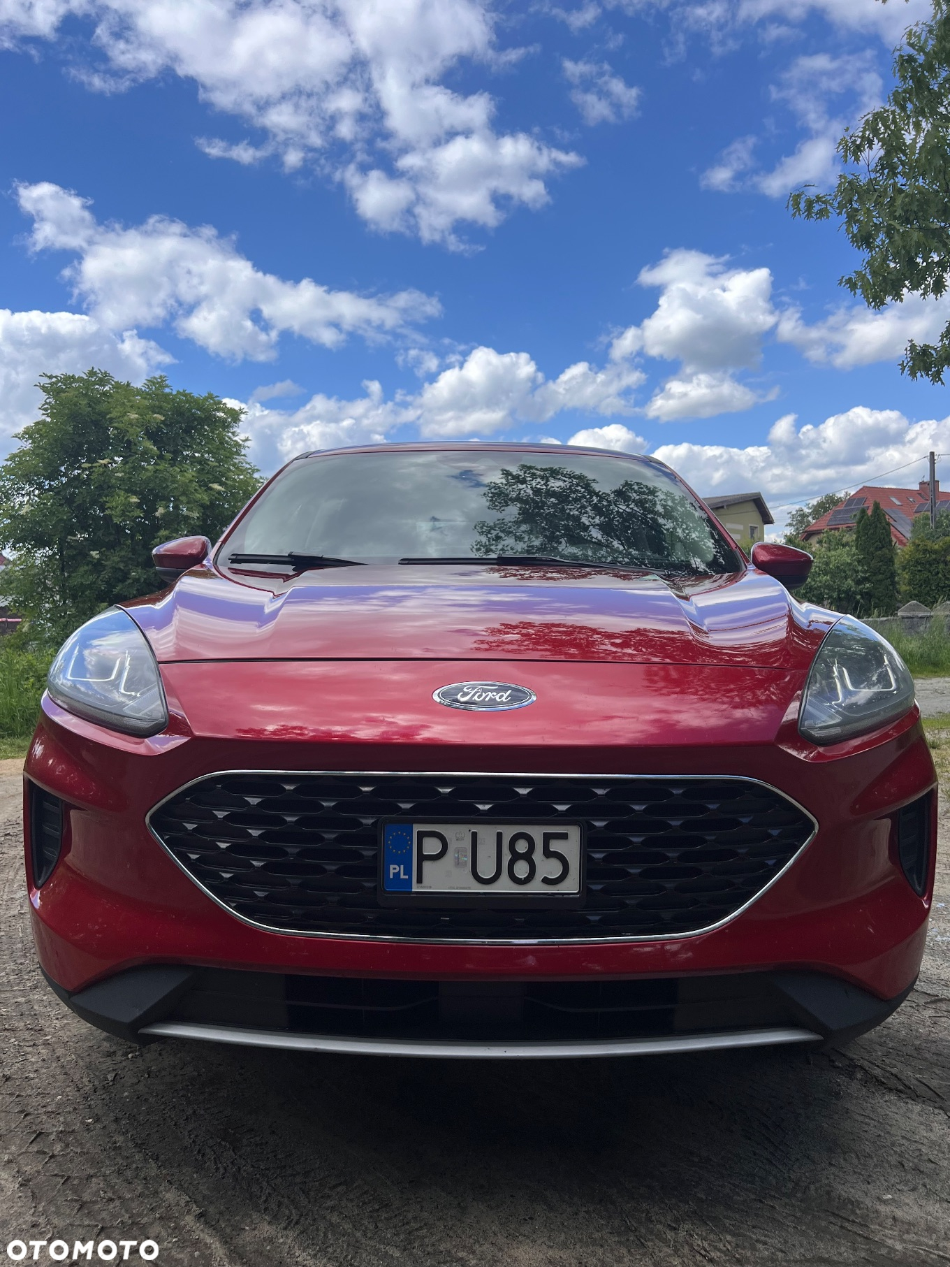 Ford Escape 1.5 EcoBoost AWD SE - 5
