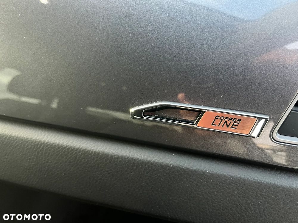 Volkswagen Polo - 21