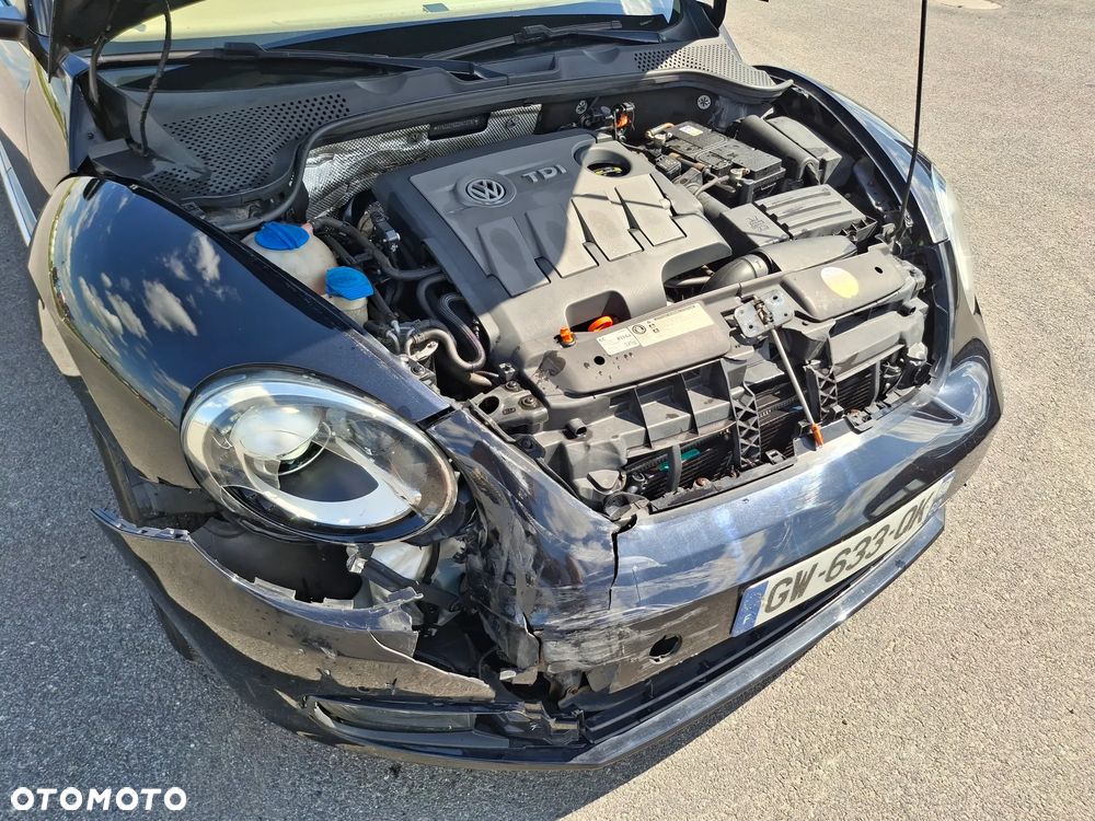 Volkswagen Beetle - 10