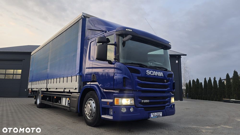 Scania P250 Euro 6 21 palet super stan niski przebieg rama do zabudowy kurierka laweta - 39