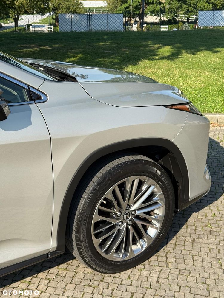 Lexus RX - 16