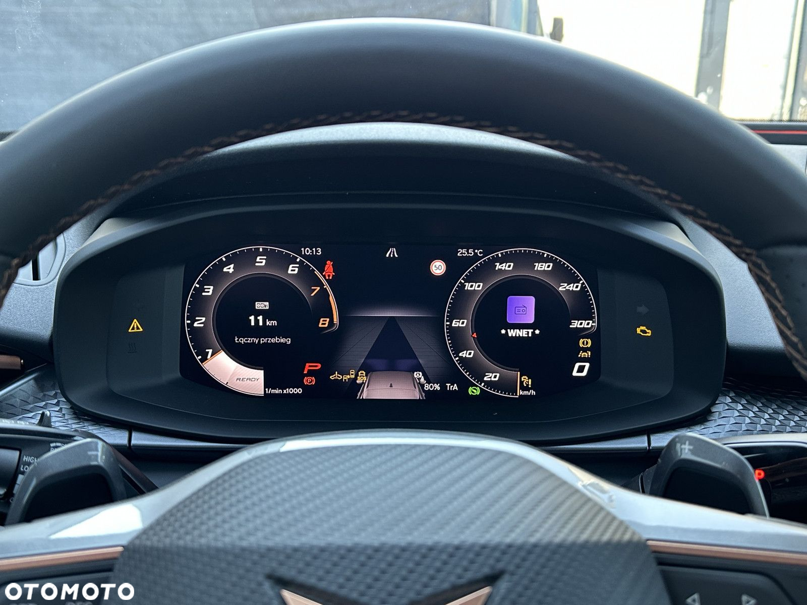 Cupra Terramar - 25