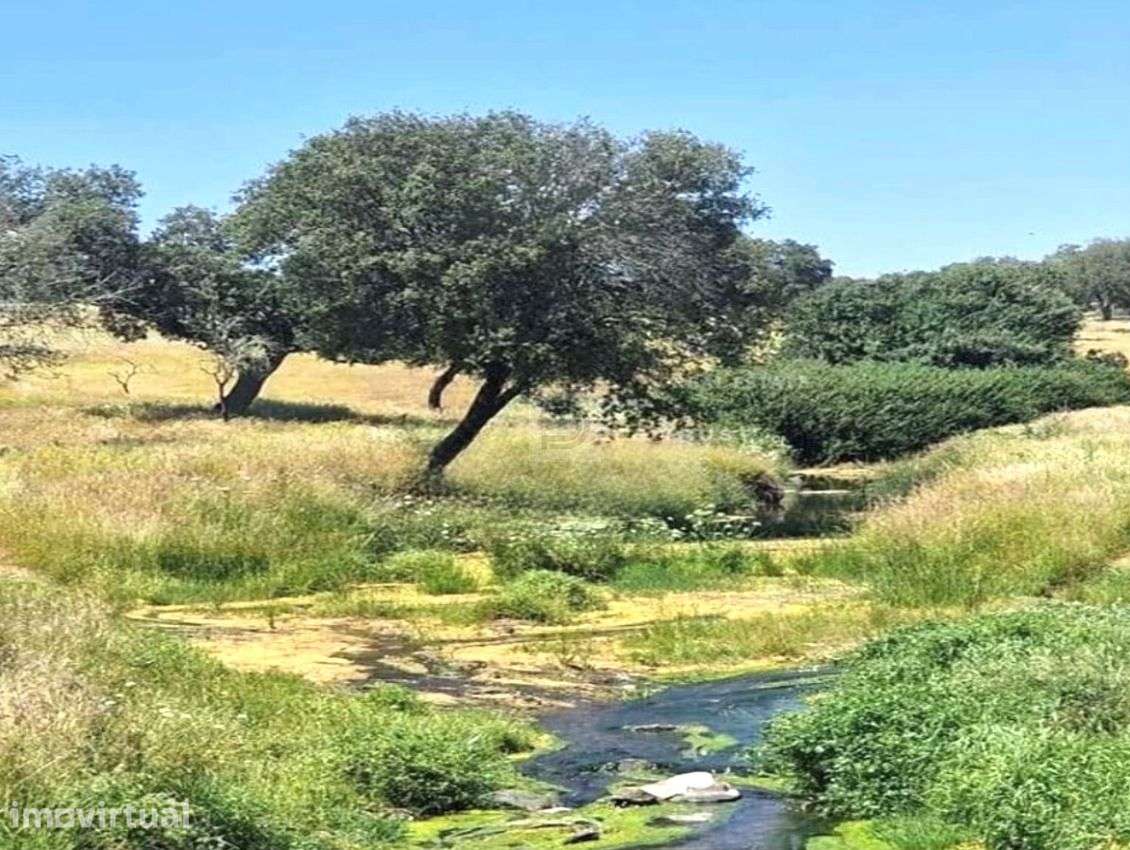 Herdade do Castelo Novo - Grande imagem: 5/16