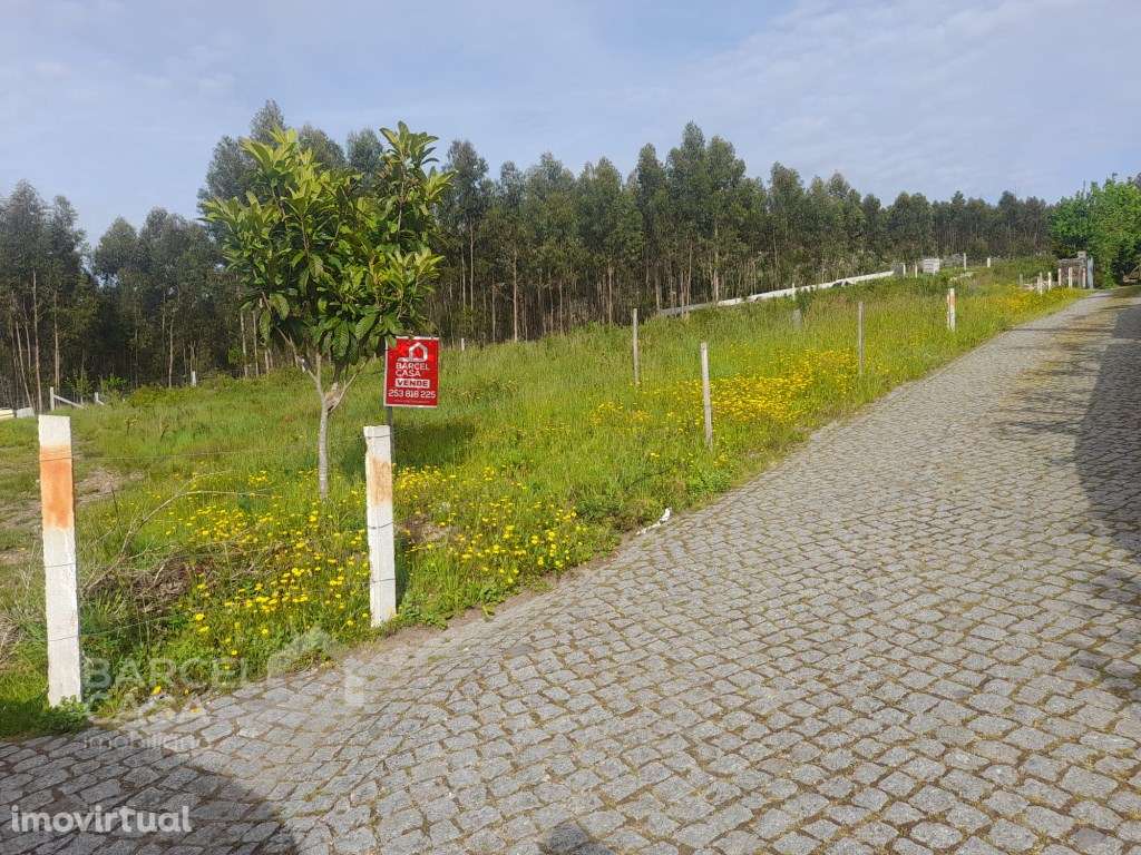 Terreno de construção em Feitos - Barcelos - Grande imagem: 2/15