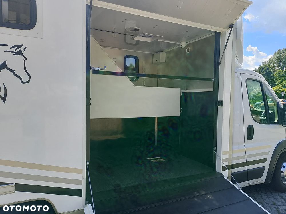 Fiat Ducato Koniowóz - 11