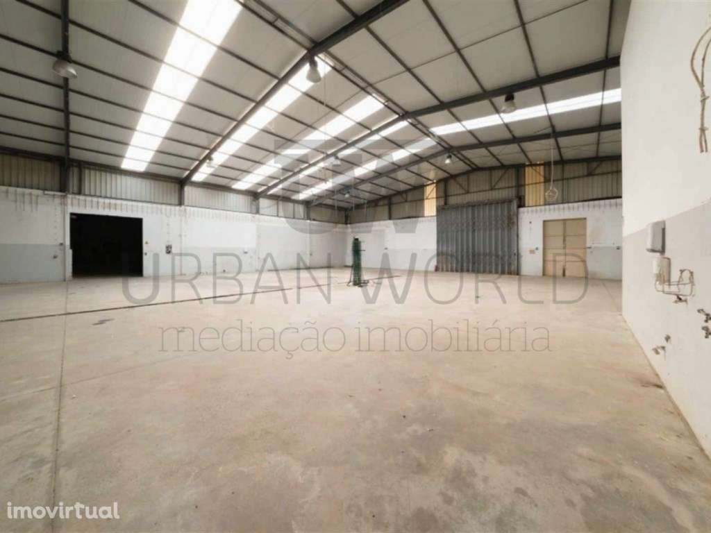 Armazém, Salvaterra de Magos - Santarém, 3.026 m2 - Grande imagem: 4/30