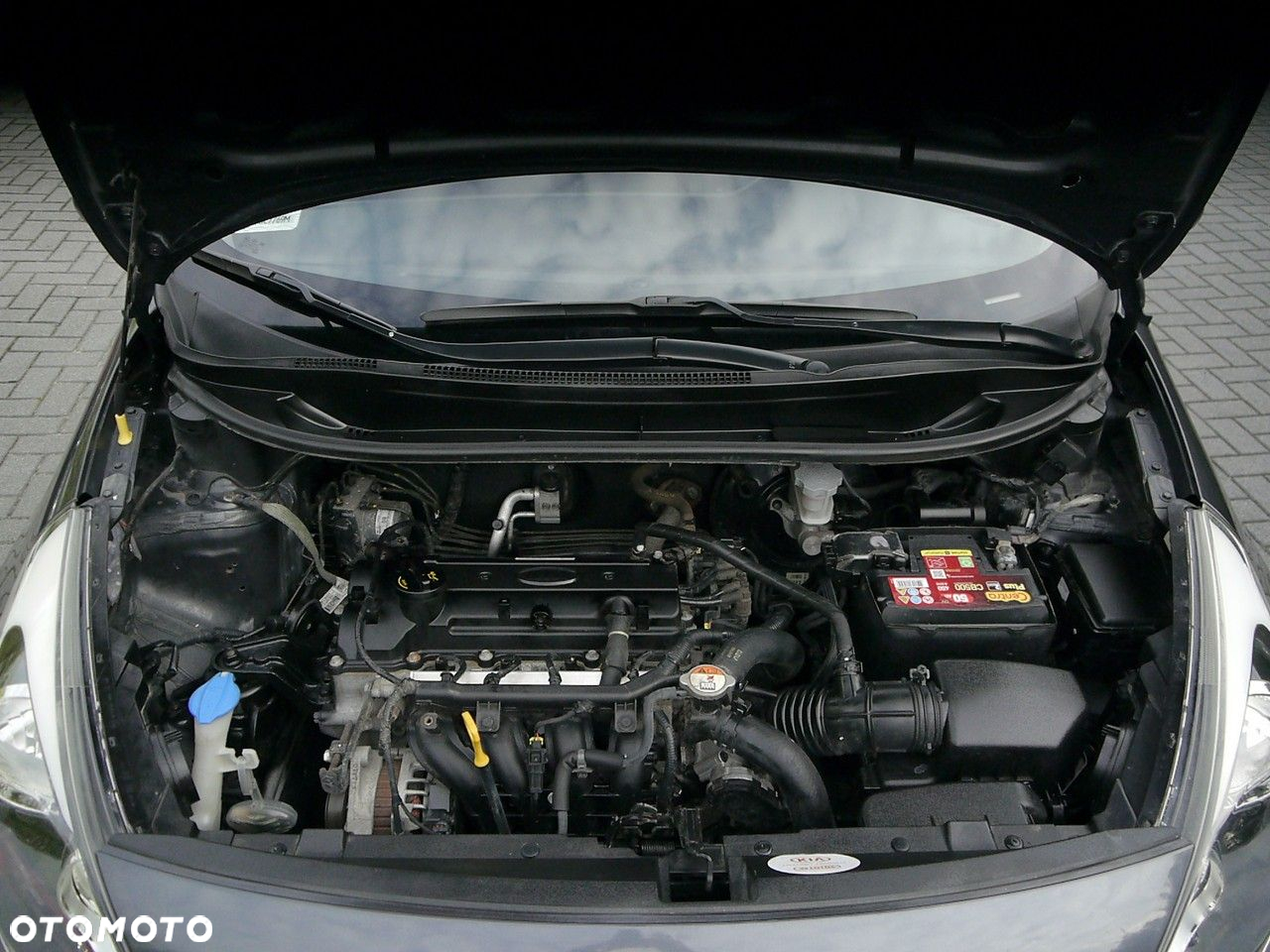 Kia Rio - 33