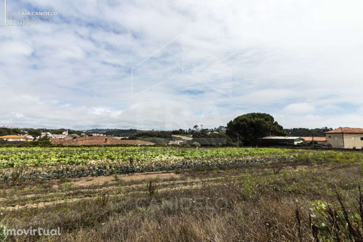 Terreno Loteado com 6.900 m² - Grande imagem: 4/9