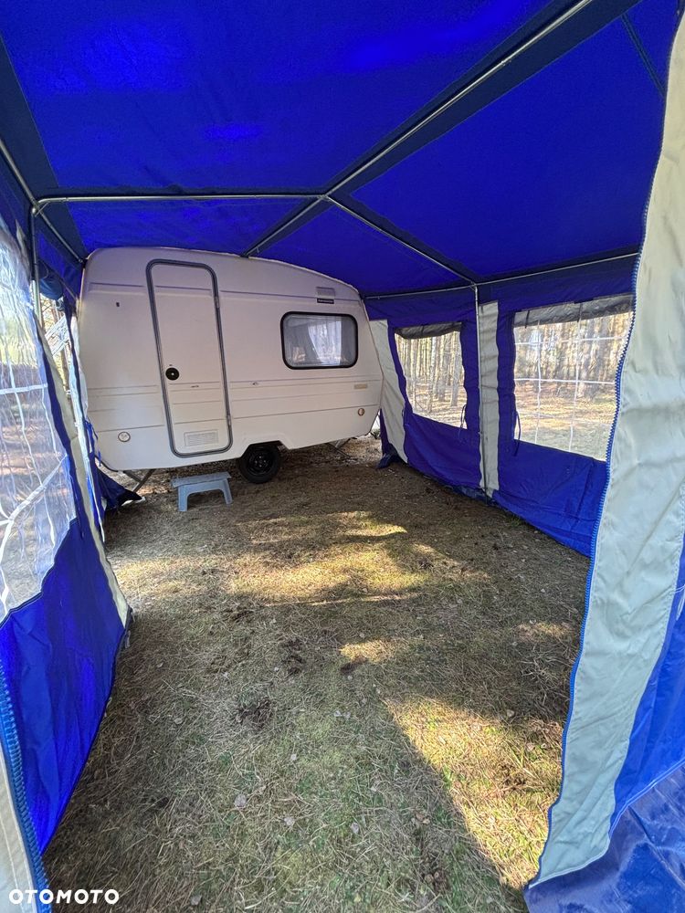 Niewiadów N126 - 25