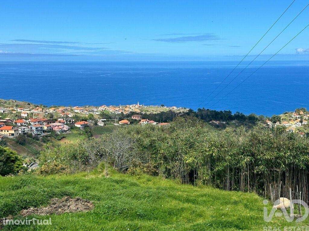 Terreno para construção em São Jorge de 1640,00 m2 - Grande imagem: 2/16