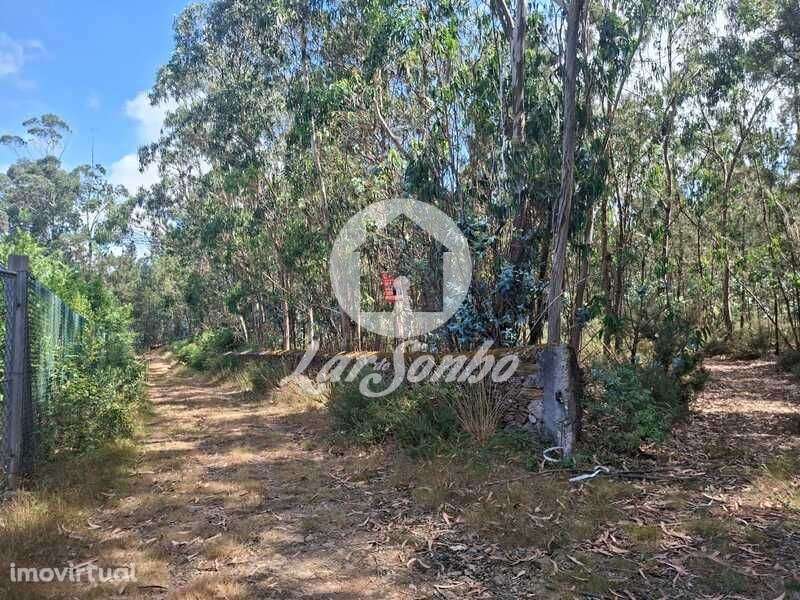 Bouça com 6.0.000m2 em Fradelos - Grande imagem: 3/12