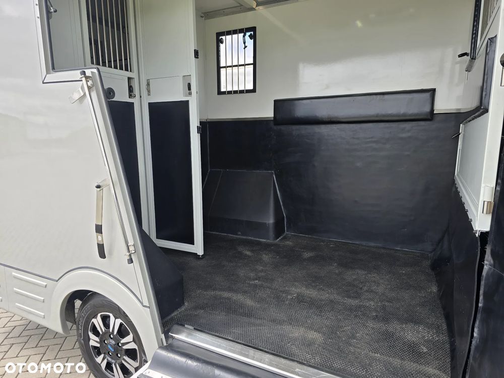 Renault Master-Koniowóz - 15