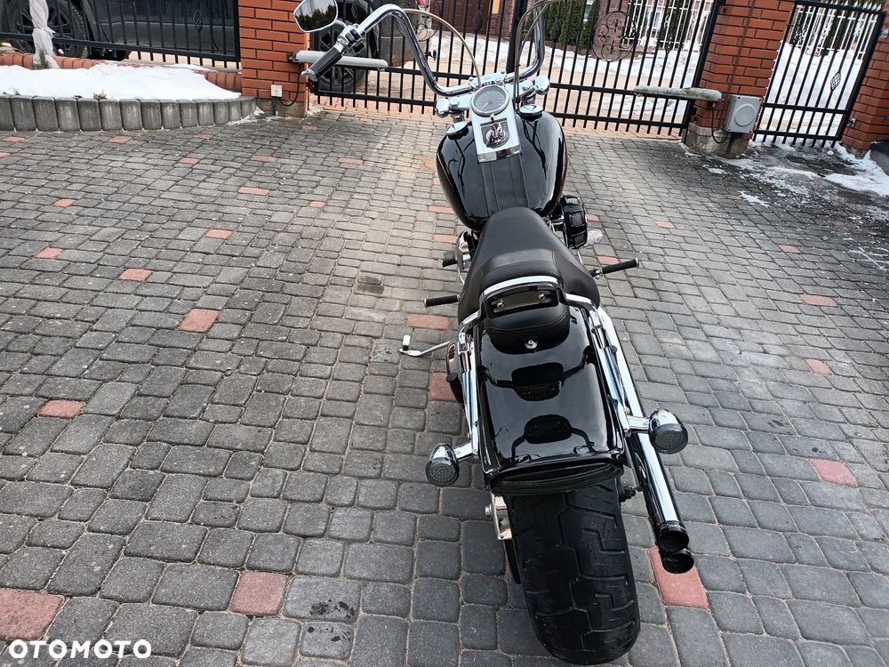 Harley-Davidson Softail Standard - 6