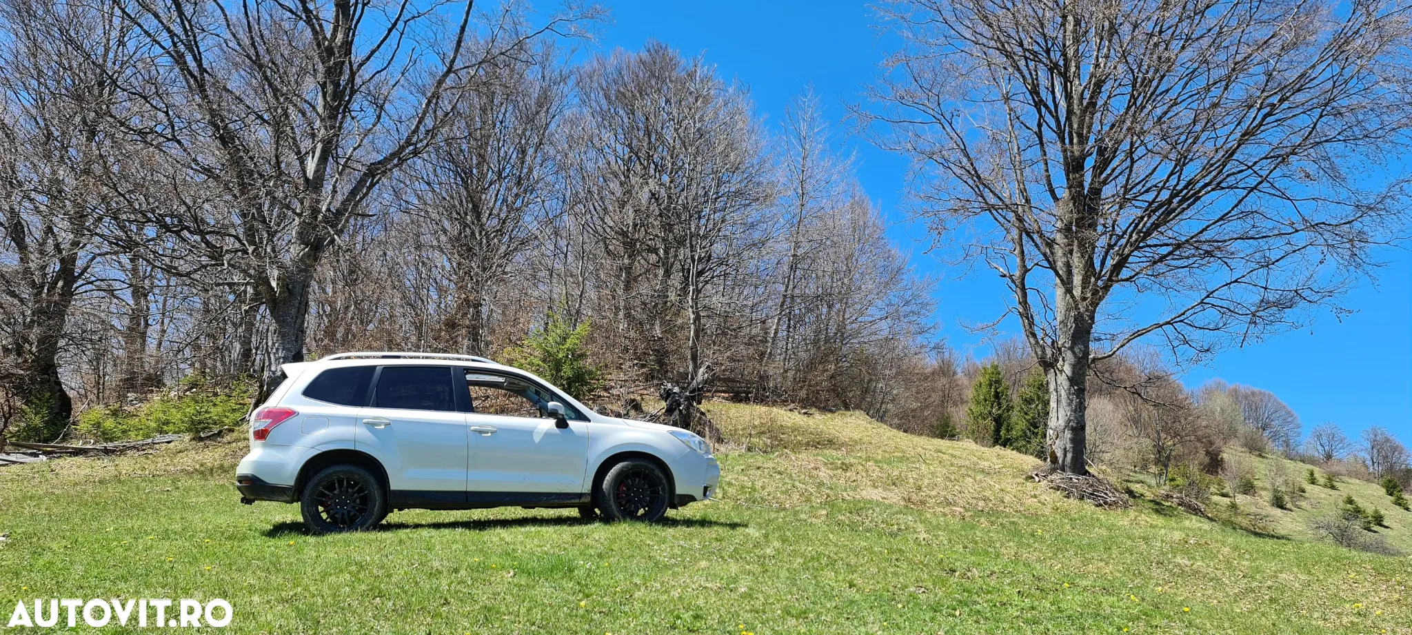 Subaru Forester 2.0XT Lineartronic Platinum - 10