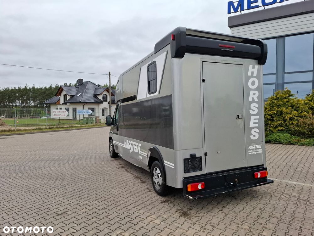 Peugeot BOXER 35, 2.0HDI / koniowóz Hagsted Horses - 6