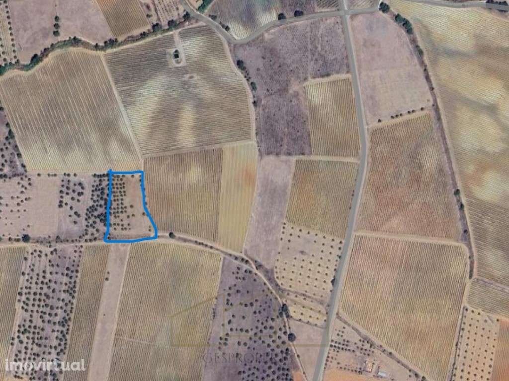 Terreno Rústico em Aldeias de Montoito - Grande imagem: 3/3