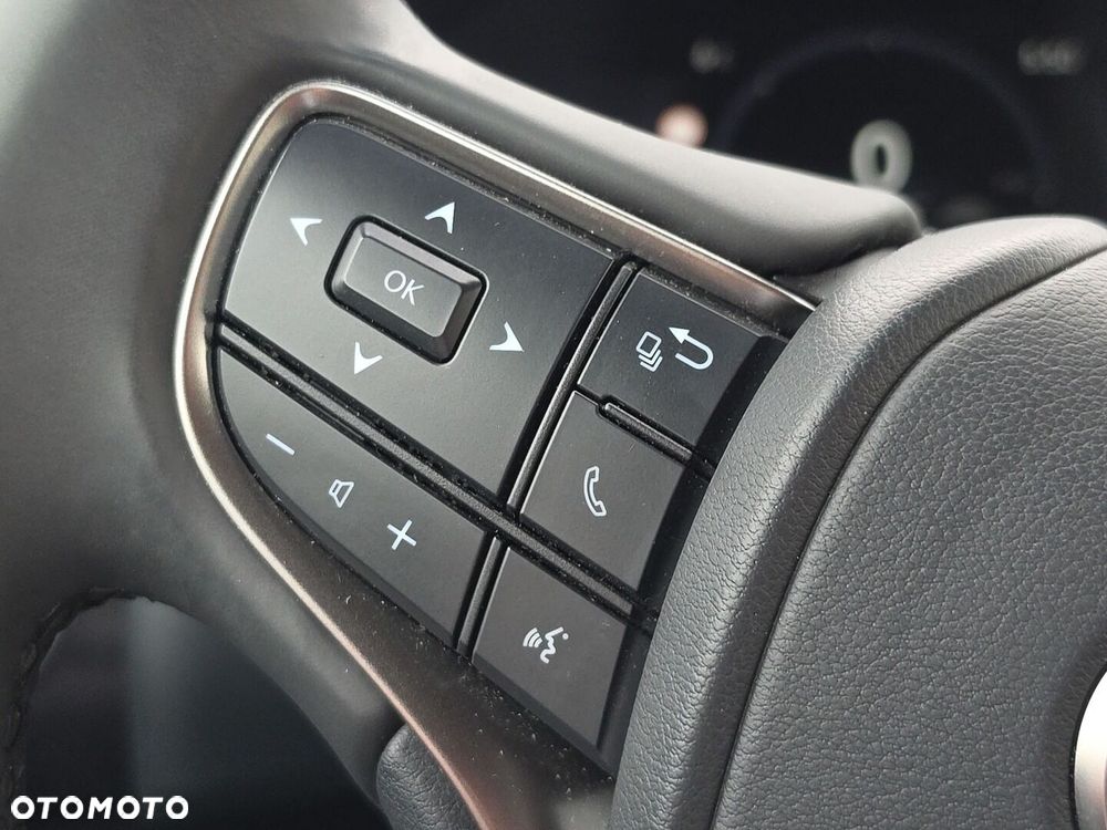 Lexus UX 300h F Sport - 17