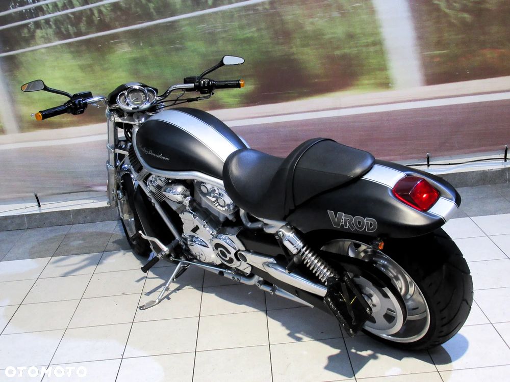 Harley-Davidson Softail V-Rod - 6