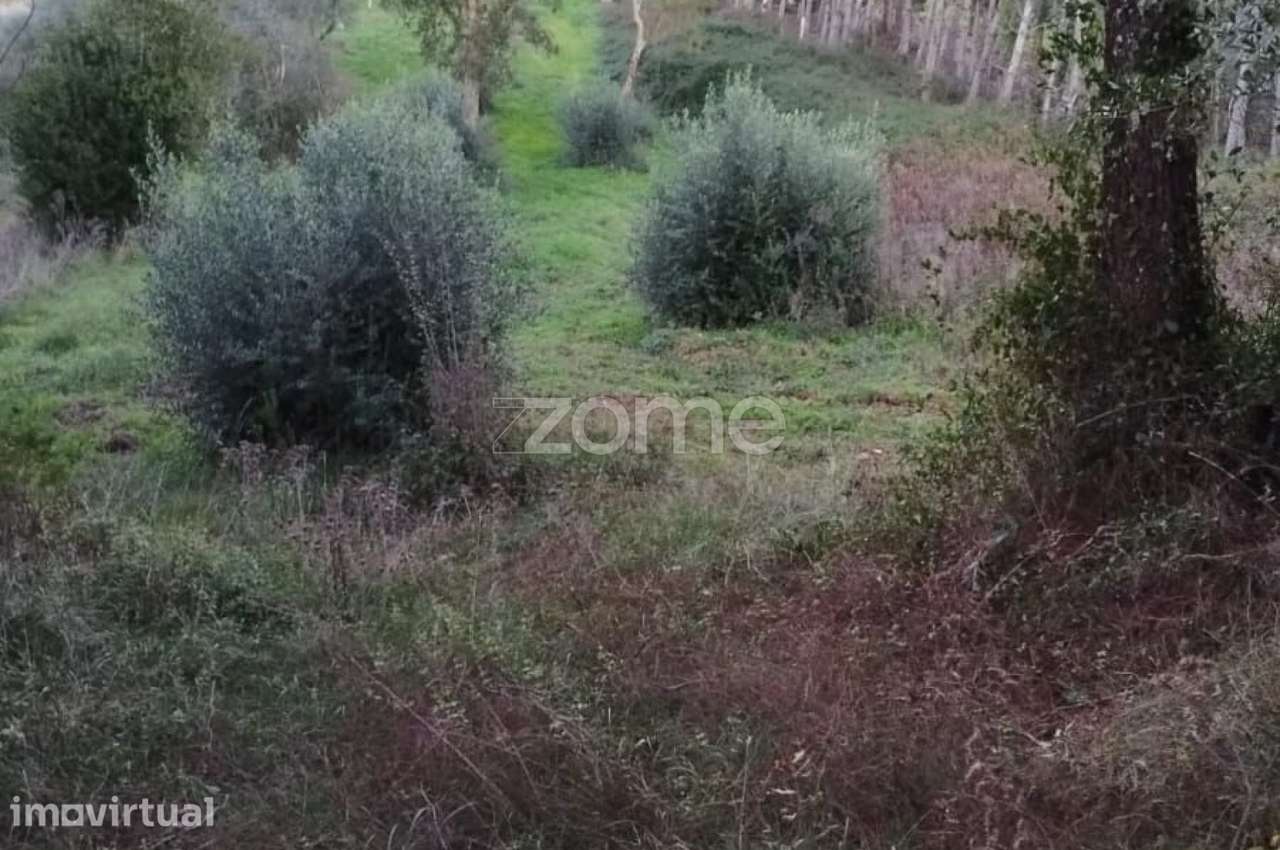 Terreno Rústico à Venda – Vila Nova de Anços 4.100m2 - Grande imagem: 4/11