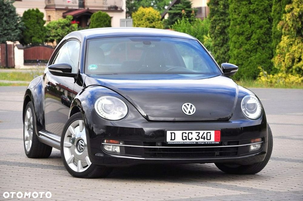 Volkswagen Beetle - 9