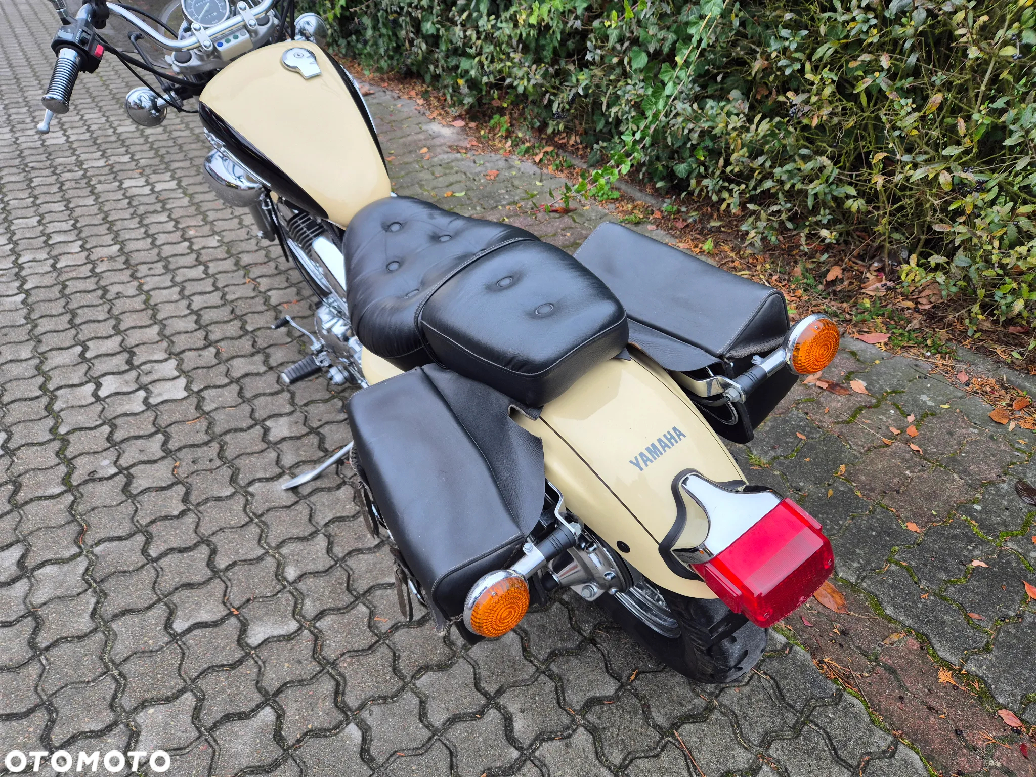Yamaha Virago - 6