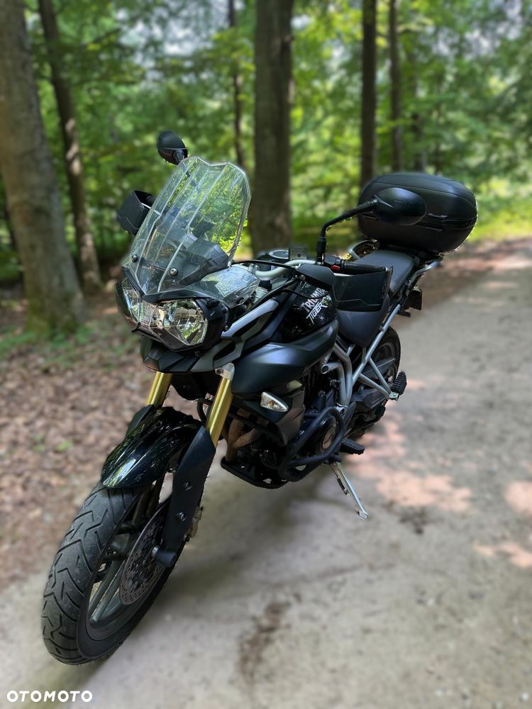 Triumph Tiger - 1