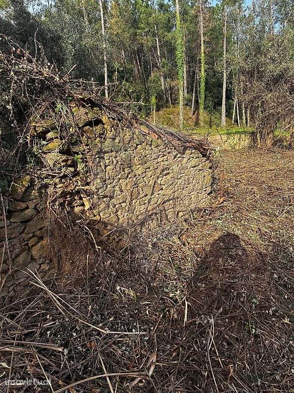 Moradia T0 para venda - Grande imagem: 3/5