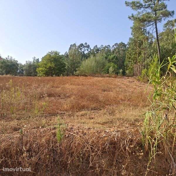 Vendo terreno em Vale Marelo com área aproximada de 9000m2" - Grande imagem: 4/12