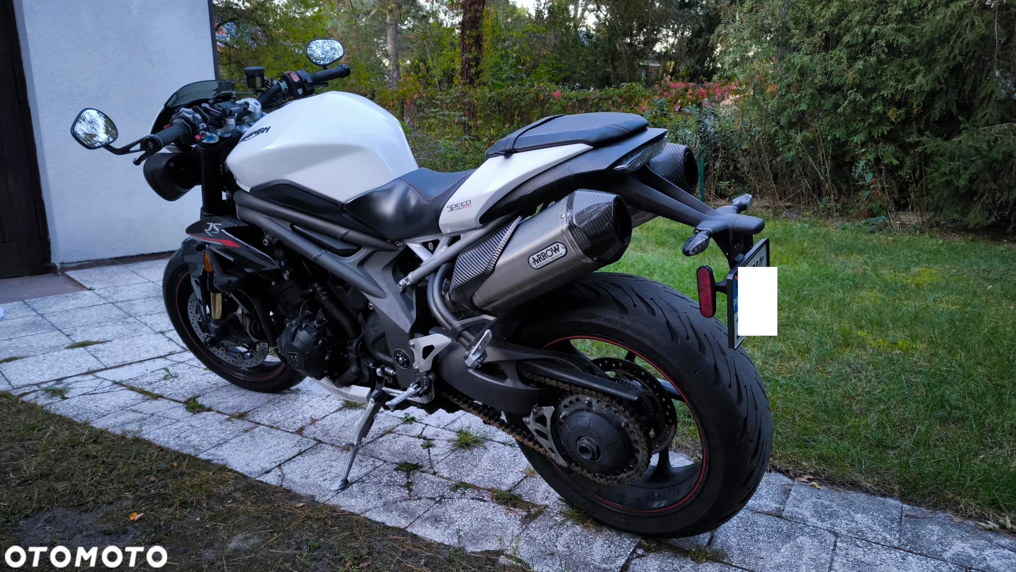 Triumph Speed Triple - 5