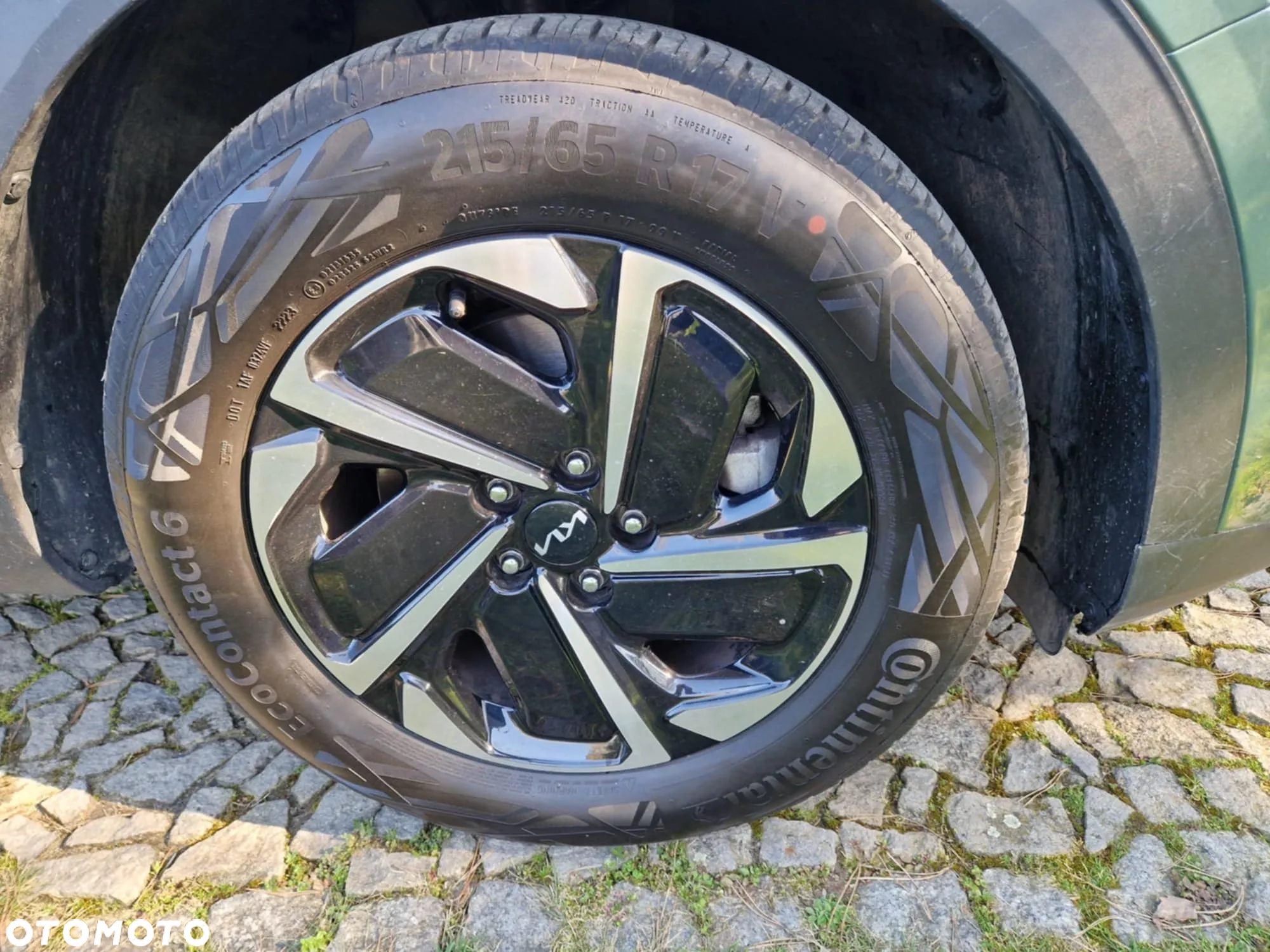 Kia Sportage 1.6 T-GDI 2WD Eco-Dynamics+ (48V M-H) Spirit - 3