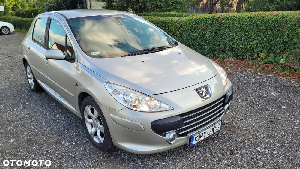 Peugeot 307 1.6 HDi - 11