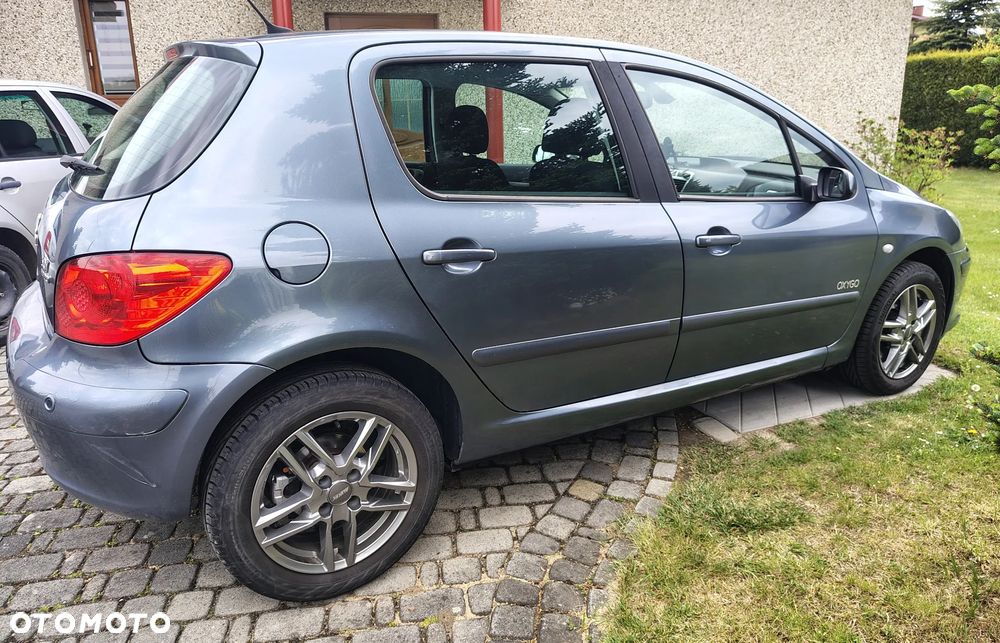 Peugeot 307 - 11