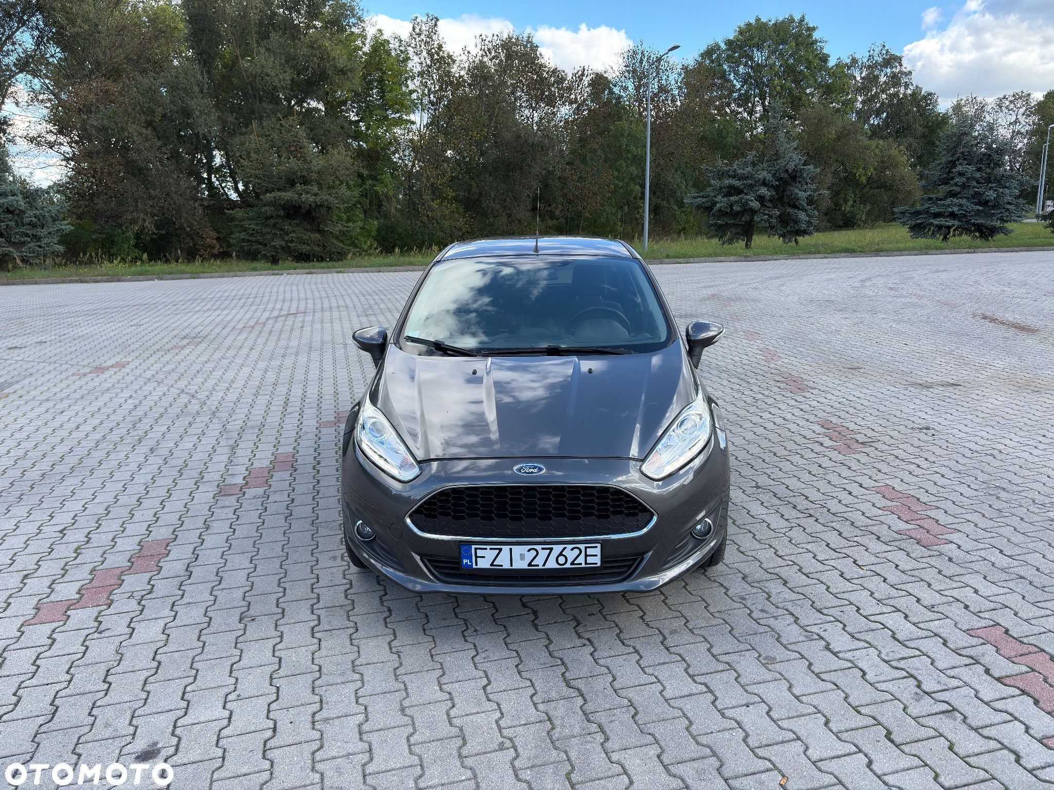 Ford Fiesta - 1
