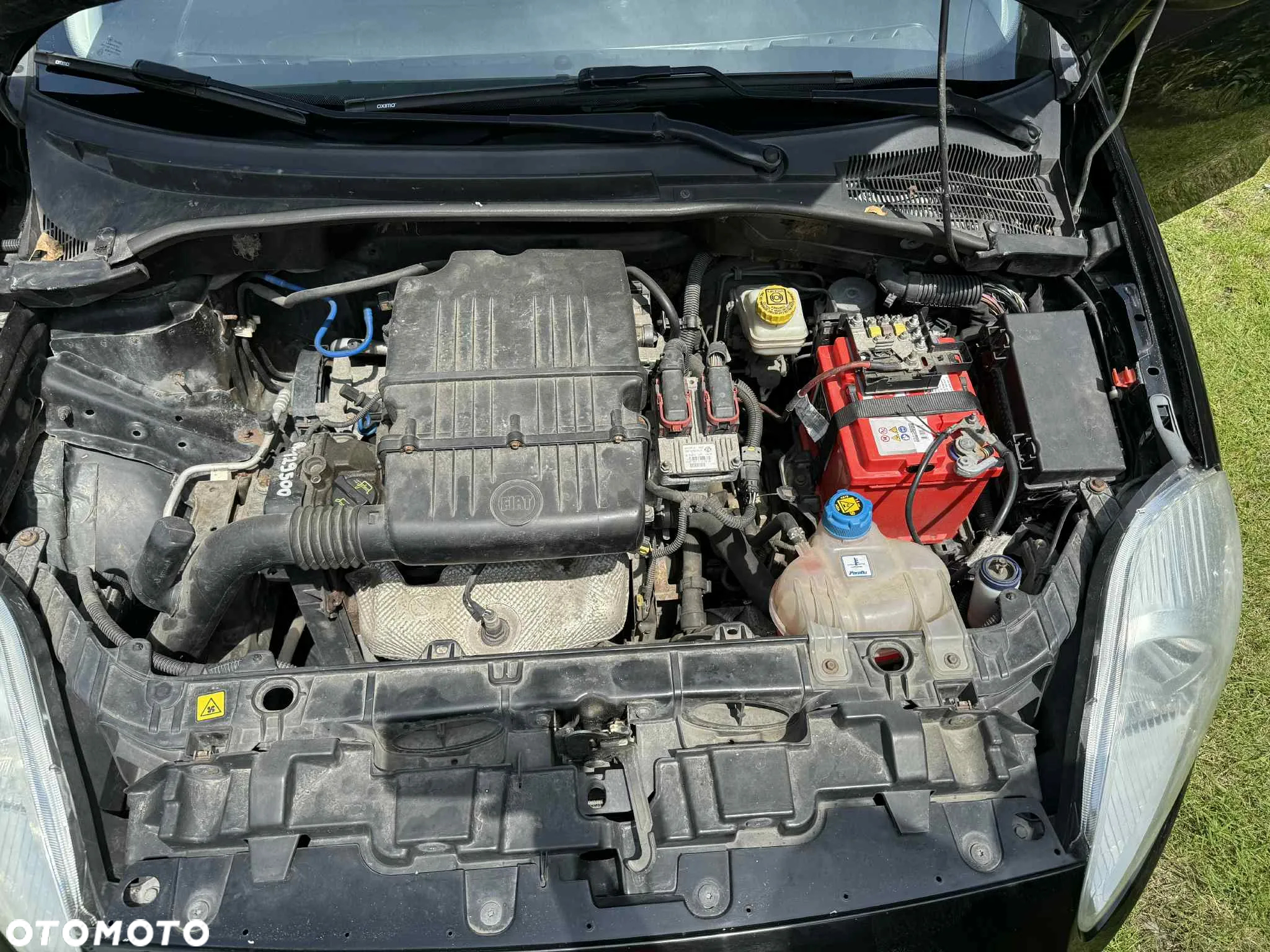 Fiat Punto - 5